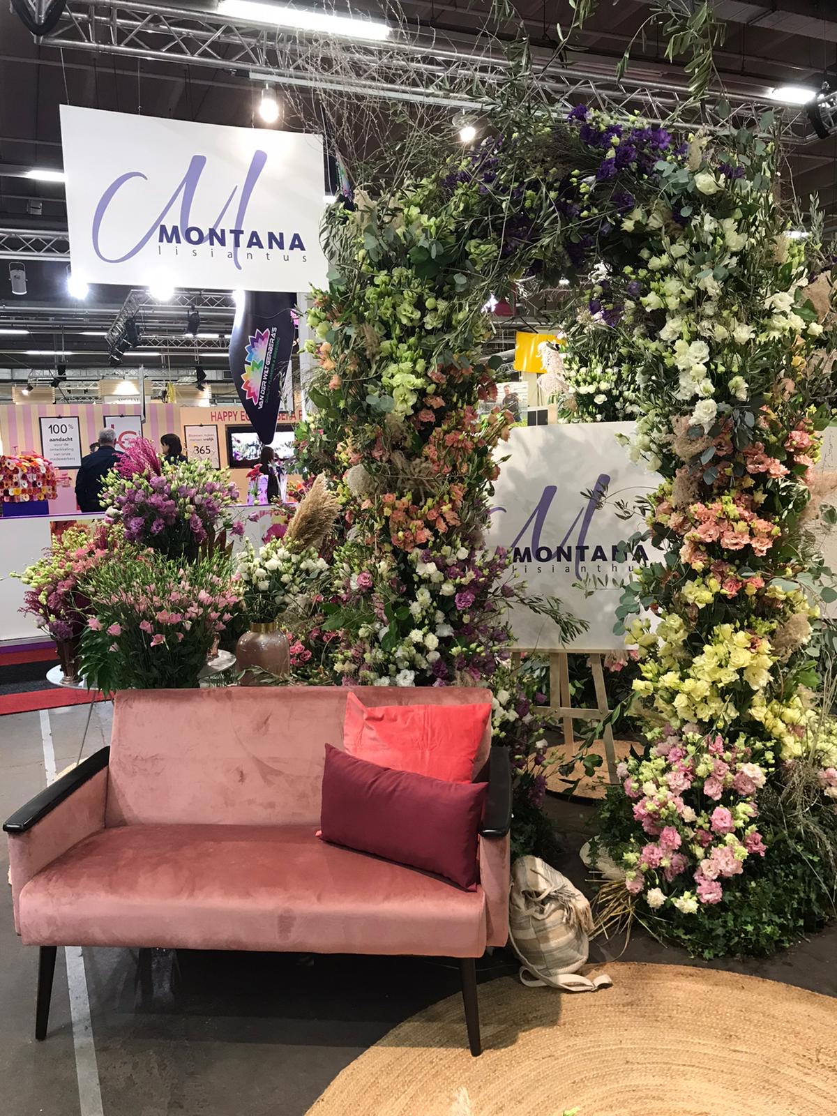 montana lisianthus trade fair 6