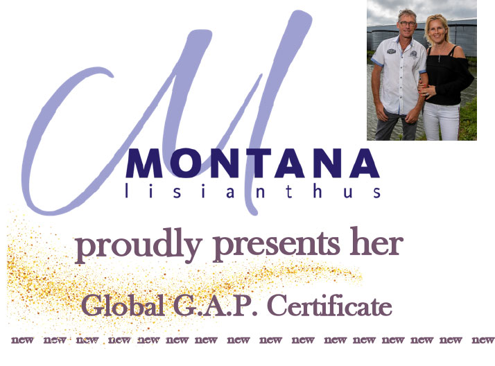 gap montana